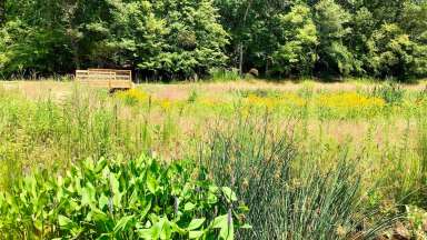Wooten Meadow Park